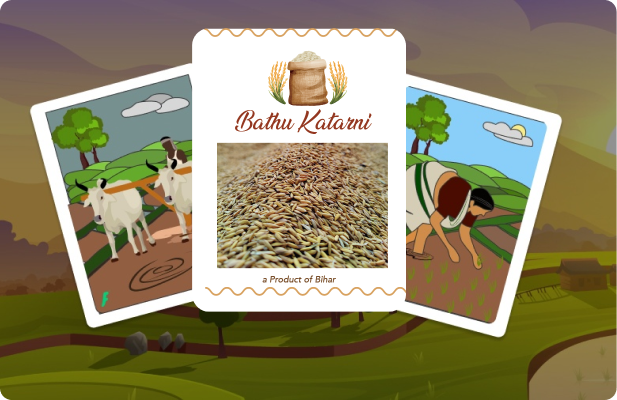 FloCard Economic Innovation